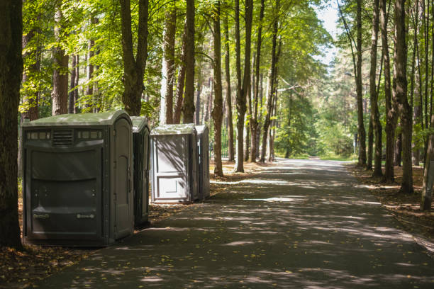 Best Affordable portable toilet rental  in Lambertville, NJ